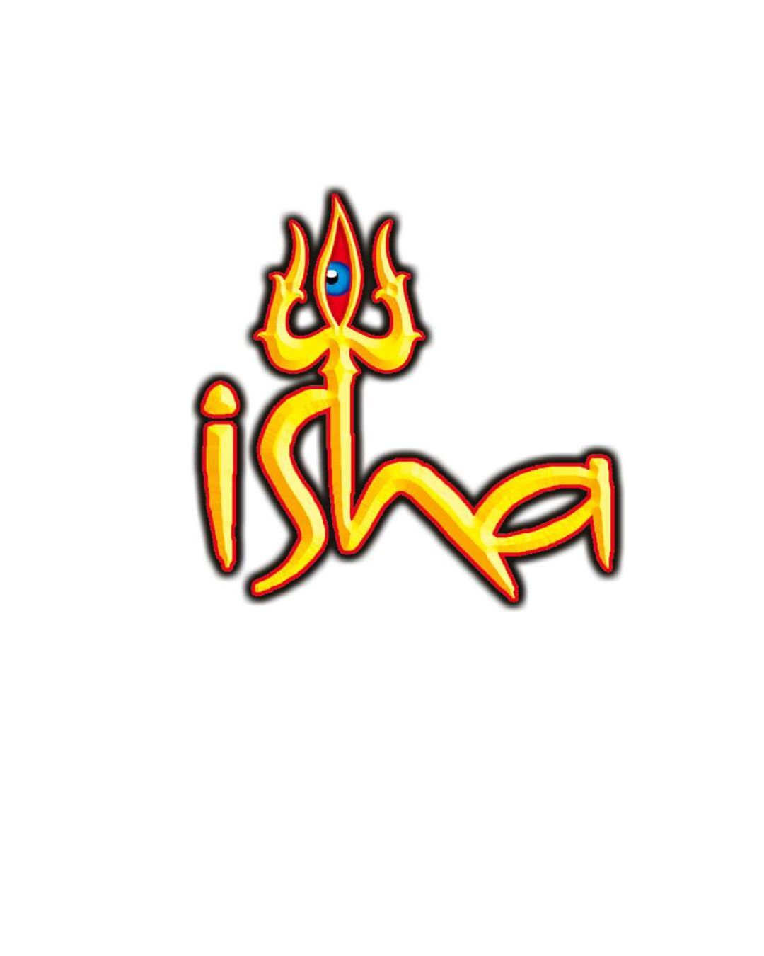 Mothers & New Isha Fireworks